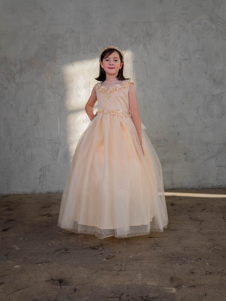 Big Girls Champagne Illusion Neckline Floral Applique Glitter Tulle Dress 8-16