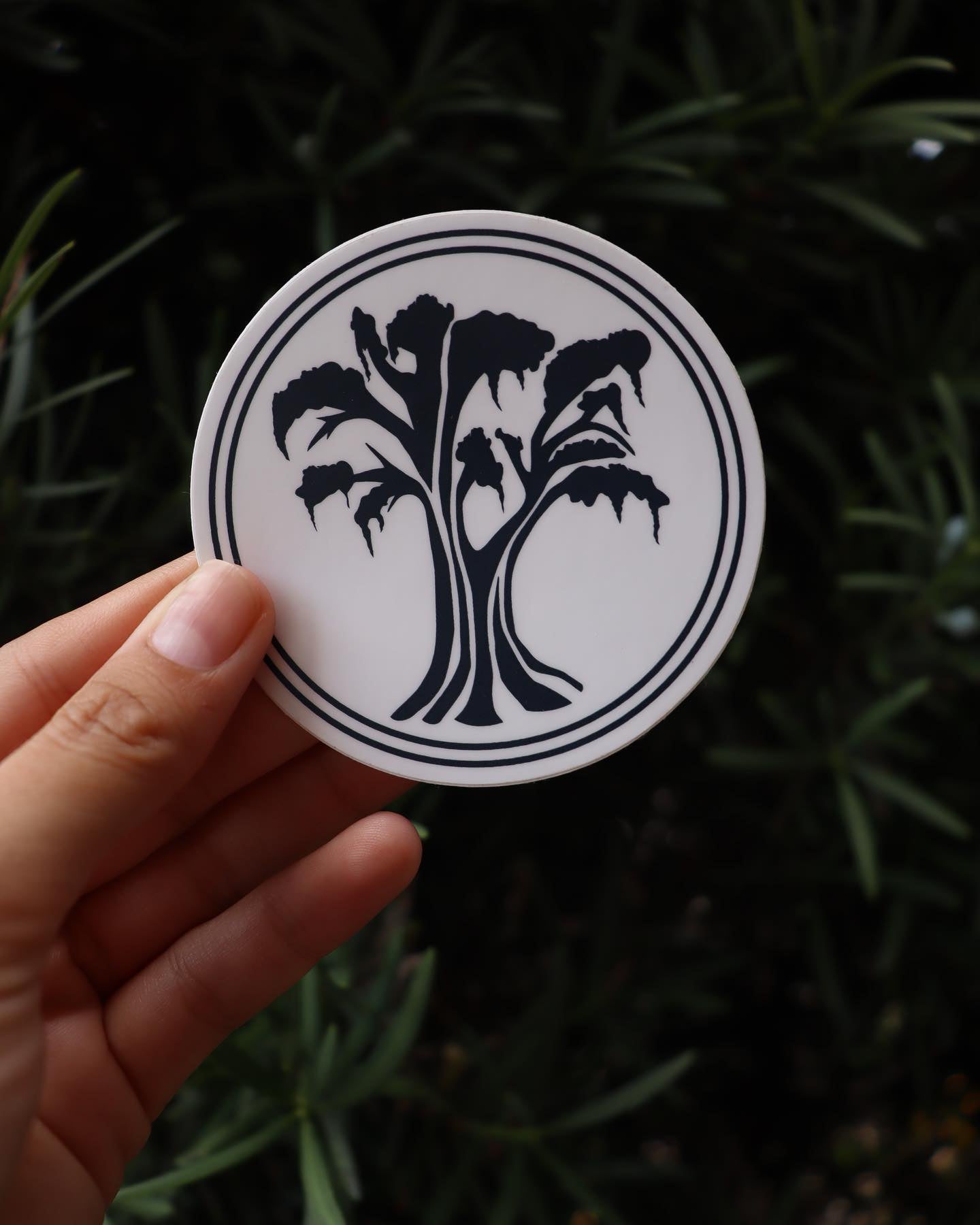 Cypress Tree Sticker