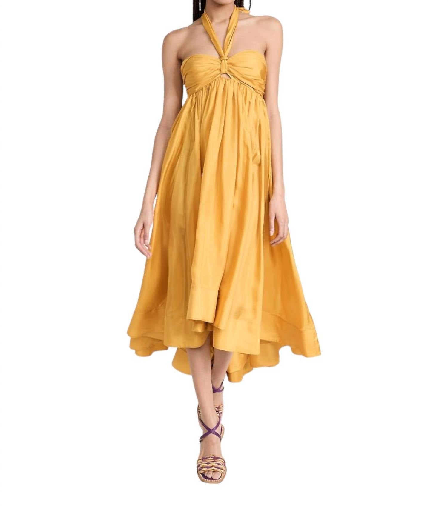 Devi Halter Maxi Dress In Mustard 7732416905276