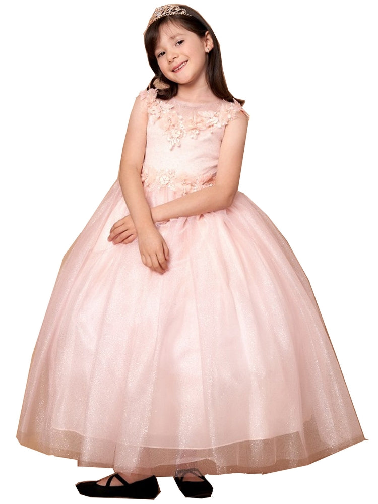 Big Girls Blush Illusion Neckline Floral Applique Glitter Tulle Dress 8-16