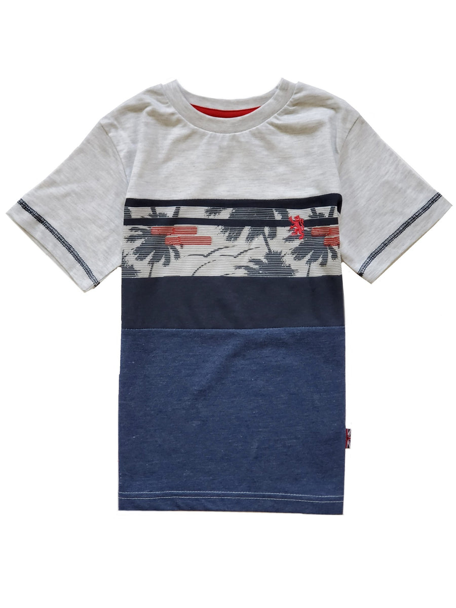 Little Boys Gray Short Sleeve Casual T-Shirt 4-7