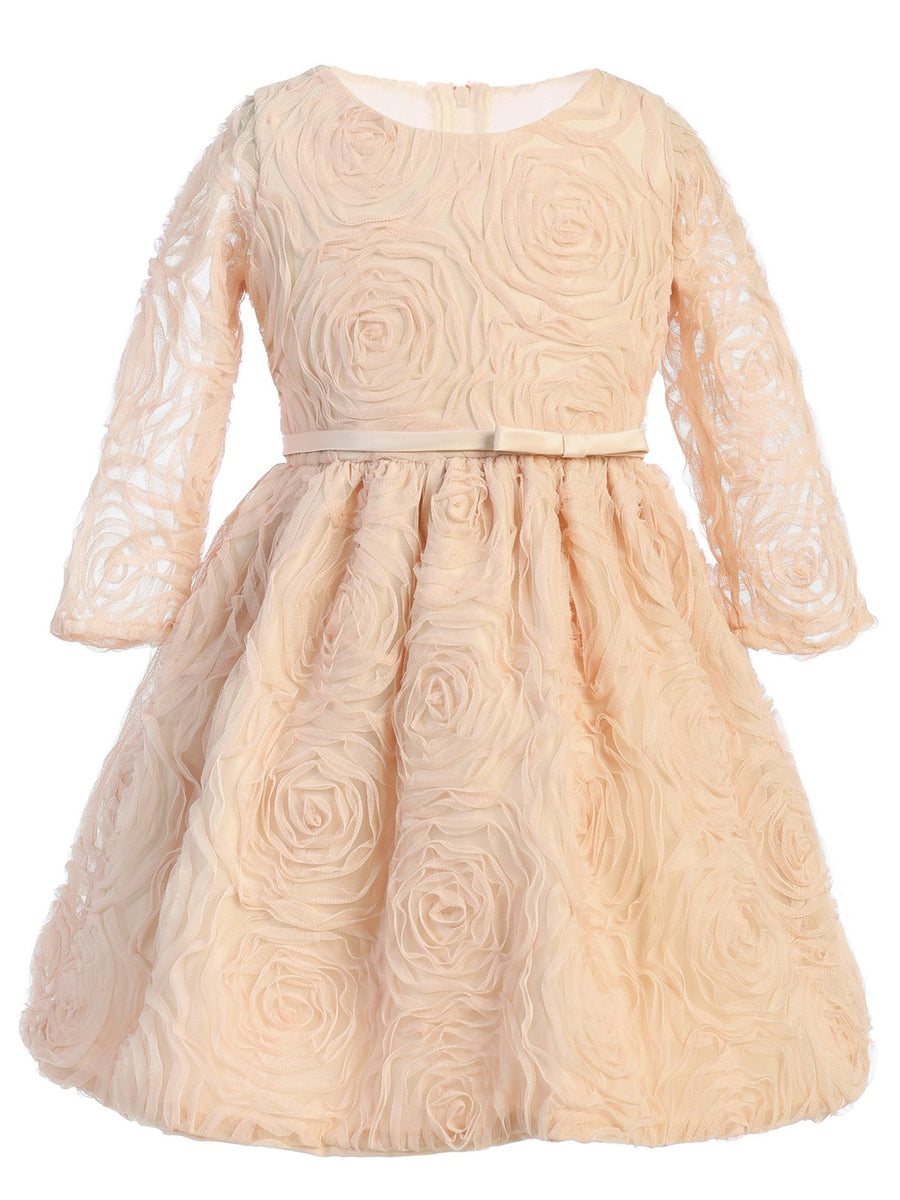 Little Girls Champagne Rosette Mesh Flower Girl Dress 2-6