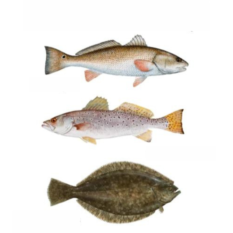 Inshore Grand Slam Sticker