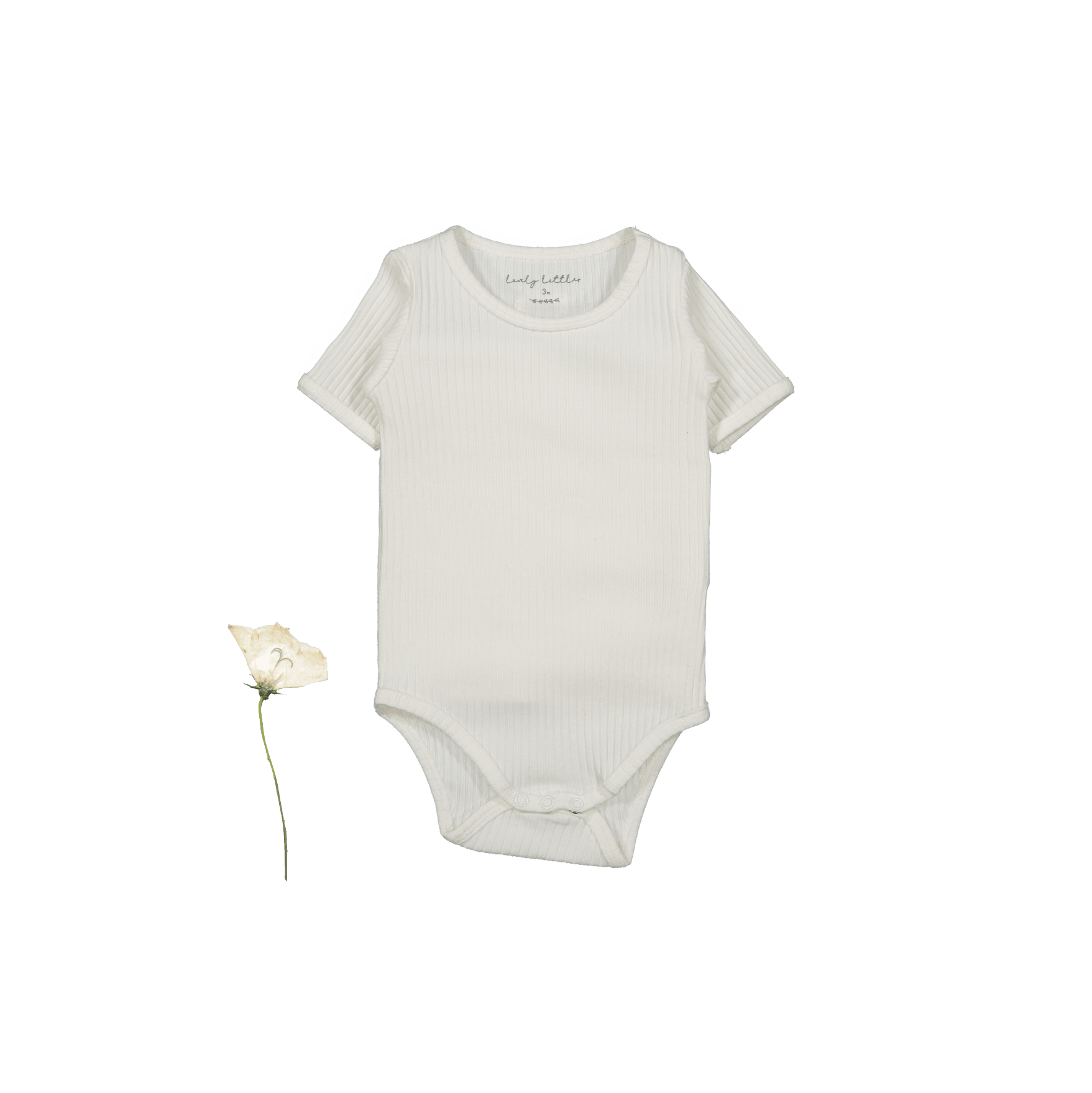 The Short Sleeve Onesie - Bone